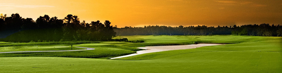 Disney Orlando Golf Course Communities Homes for Sale & Real Estate